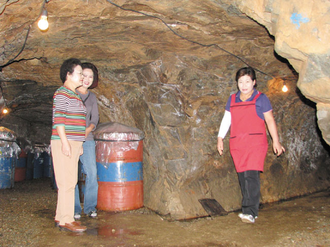 옹암리 토굴새우젓마을 공용 토굴 보수 < 읍면중계탑 < 홍성신문 < 기사본문 - 홍성신문 내포타임즈 옹암리 토굴새우젓마을 공용 토굴 보수