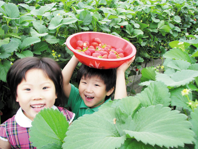 체험마을 소개①/ 용봉산 체험마을 < 농업/경제 < 홍성신문 < 기사본문 - 홍성신문 내포타임즈 체험마을 소개①/ 용봉산 체험마을