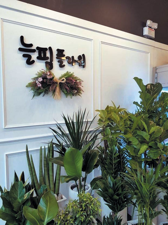 마음을 전하는 꽃집 ‘늘핌플라워’ < 개업했습니다 < 홍성신문 < 기사본문 - 홍성신문 내포타임즈 마음을 전하는 꽃집 ‘늘핌플라워’