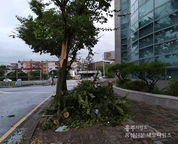 태풍 ‘링링’ 홍성 할퀴고 가 < 사회 < 홍성신문 < 기사본문 - 홍성신문 내포타임즈 태풍 ‘링링’ 홍성 할퀴고 가