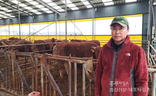 “소처럼 건강한 한 해 되길” < 사회 < 홍성신문 < 기사본문 - 홍성신문 내포타임즈 “소처럼 건강한 한 해 되길”