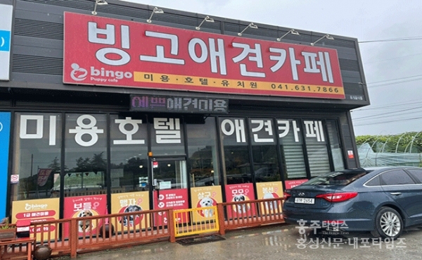 사랑으로 반려견 돌보는 빙고애견카페 < 사회 < 홍성신문 < 기사본문 - 홍성신문 내포타임즈 사랑으로 반려견 돌보는 빙고애견카페