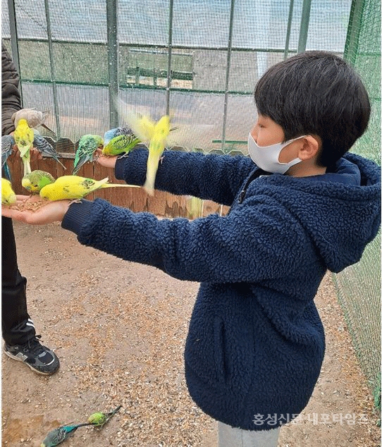 새들과 교감하고 다양한 동물과 만남 < 사회 < 홍성신문 < 기사본문 - 홍성신문 내포타임즈 새들과 교감하고 다양한 동물과 만남