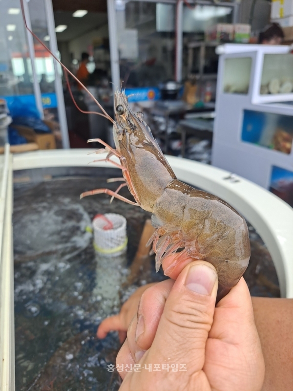 가을 별미 ‘대하’ 맛보러 오세요