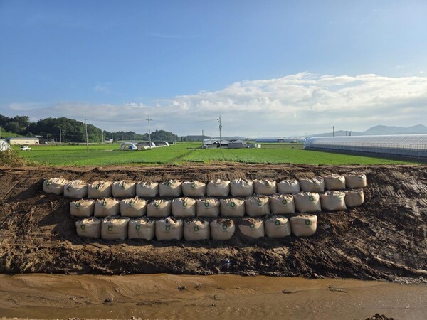 홍북 내덕리 무너진 둑, 긴급 보수