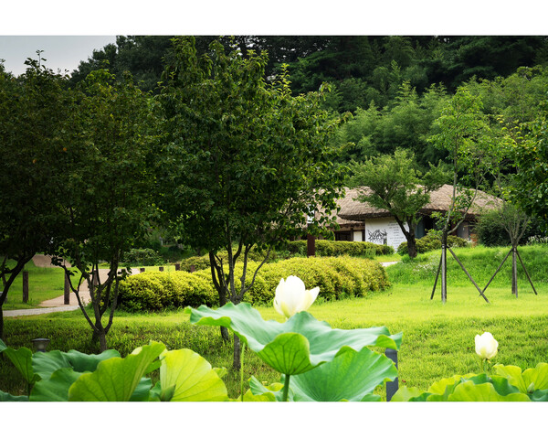 김상구 작가