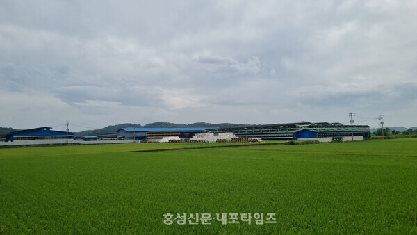 강승규 국회의원이 축산시설 입지와 규모에 영향을 줄 법률 개정안을 국회에 발의한 가운데  환경단체는 반대 의견을 밝혔다. 사진은 결성면의 한 축사 모습.