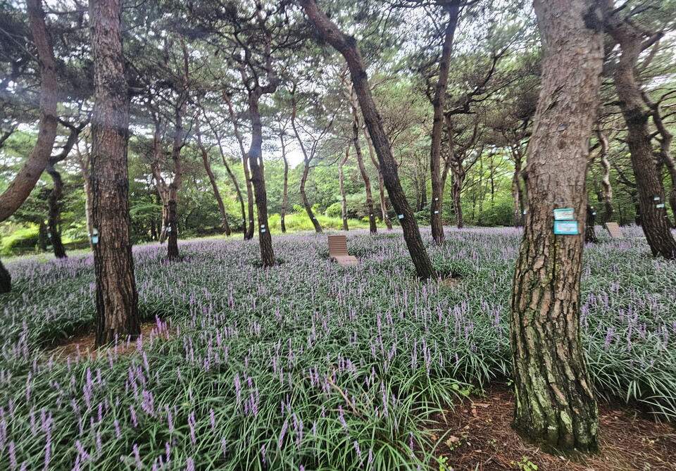 사진=충남도
