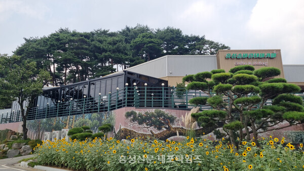 솔바람테마파크 입구에 위치한 카페에서는 다양한 음료와 빵, 구절초 떡을 맛볼 수 있다.