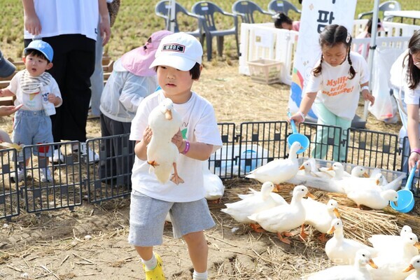 발자국소리축제를 찾은 아이들이 오리와 함께 놀고 있다. 