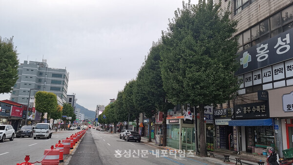 홍성축협 홍주지점에서 김좌진 장군 동상 사이에는 30여 그루의 은행나무가 줄지어 있다. 오래된 나무들은 건물 3층 높이까지 자랐다. 