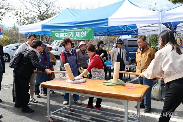 구항한우3색축제에서 진행된 떡메치기 체험. 