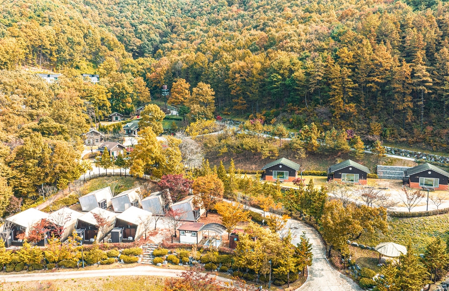 논산 양촌자연휴양림. 사진=충남도