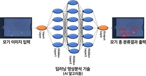 AI 기반 실시간 모기 감시시스템 가동